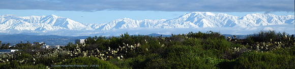 DSC_2212 Snow 2-26-23