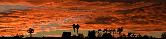 _DSC3644BackBaySunset1-1-20
